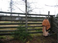 Finland 2004