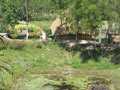 Mayapur 2004