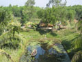 Mayapur 2004