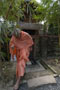 Mayapur 2005 to 2007