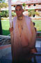 Mayapur 90's others