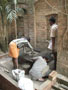 Memorial and Samadhi at Mayapur