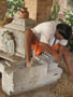 Memorial and Samadhi at Mayapur