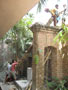 Memorial and Samadhi at Mayapur