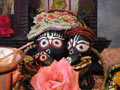 Puja Photos Deities
