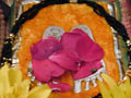 Puja Photos Deities