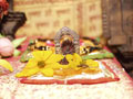 Puja Photos Deities