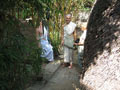 SS's Sister in Mayapur 2007