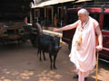 South India 2004 part 1