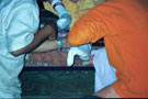 Vyasa Puja 1997 Simhachalam Feet Bathing